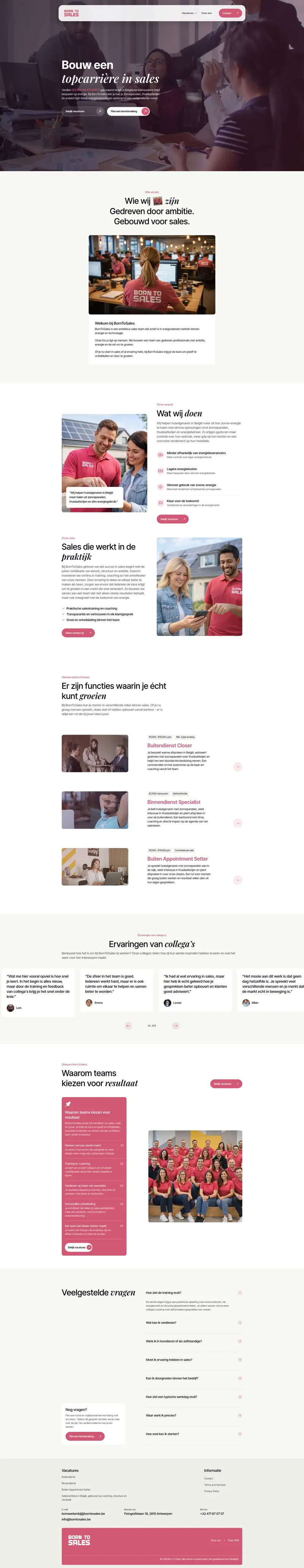 BornToSales Sales Consulting project mockup