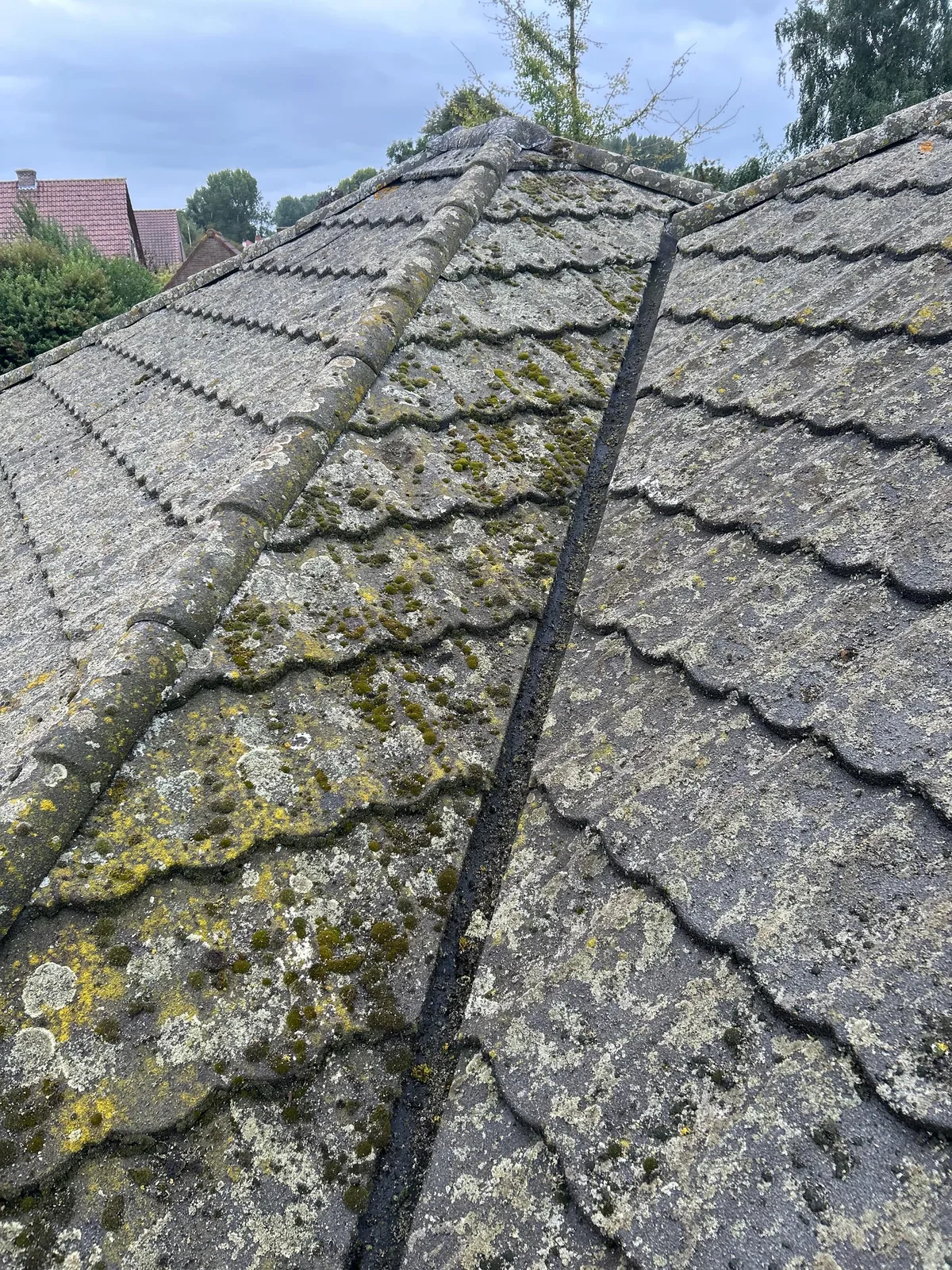 Nokvorst en kilgoot met dikke gele korstmosplekken en groen mos tussen de dakpannen, vóór het dak ontmossen