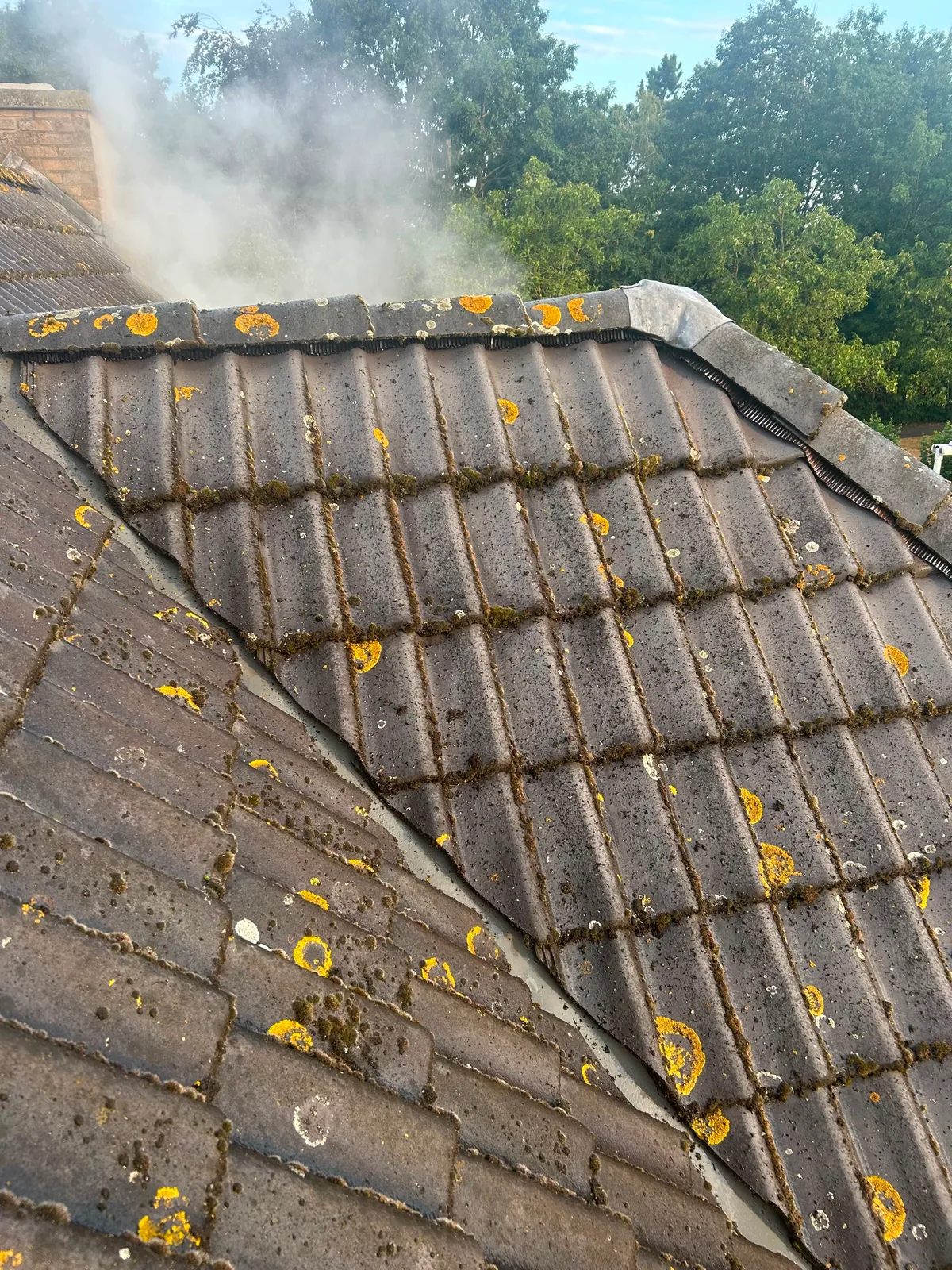 Dakpannen met mos in de voegen en gele korstmosplekken vóór de dakreiniging, met stoom die van de nok opstijgt