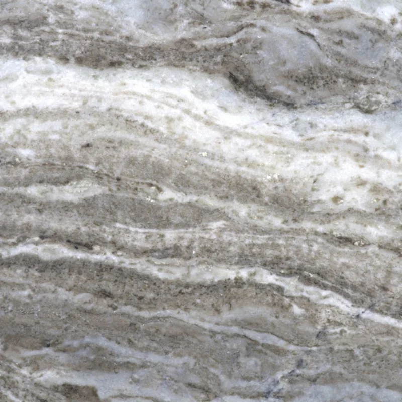 Brown Fantasy quartzite slab texture